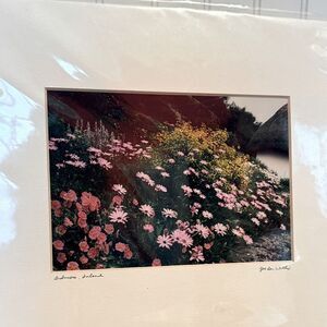 Floral Landscape Art Print of Ardmore, Ireland by Willis